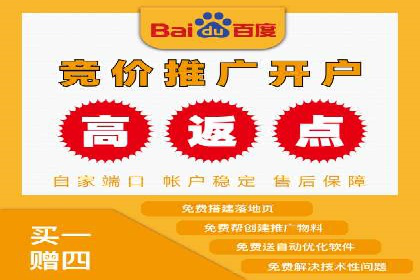 SEM投放案例：打造高转化率广告